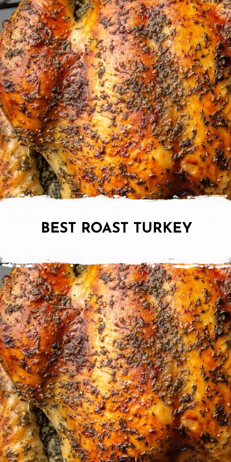 Best Roast Turkey